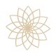 Lotus LR (800x800)