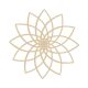 Lotus-LR-800x800-1.jpg